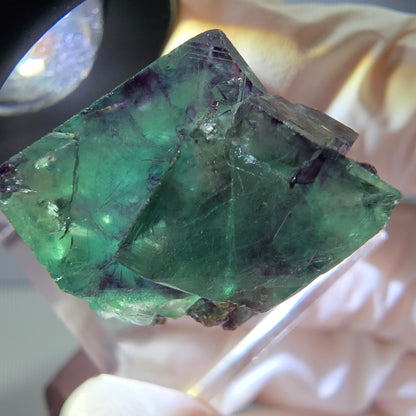 Rare spécimen de cube de fluorite fantôme, vert-violet, Okorusu, Namibie, 25 x 21 x 19 mm 