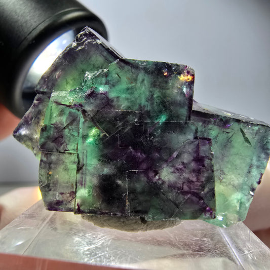 Spécimen rare de cube de fluorite fantôme, vert-violet, Okorusu, Namibie, 34 x 24 x 14 mm