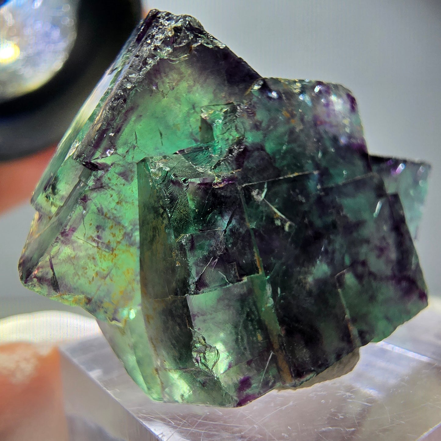 Spécimen rare de cube de fluorite fantôme, vert-violet, Okorusu, Namibie, 34 x 24 x 14 mm