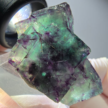 Spécimen rare de cube de fluorite fantôme, vert-violet, Okorusu, Namibie, 34 x 24 x 14 mm