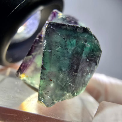 Spécimen rare de cube de fluorite fantôme, vert-violet, Okorusu, Namibie, 34 x 24 x 14 mm
