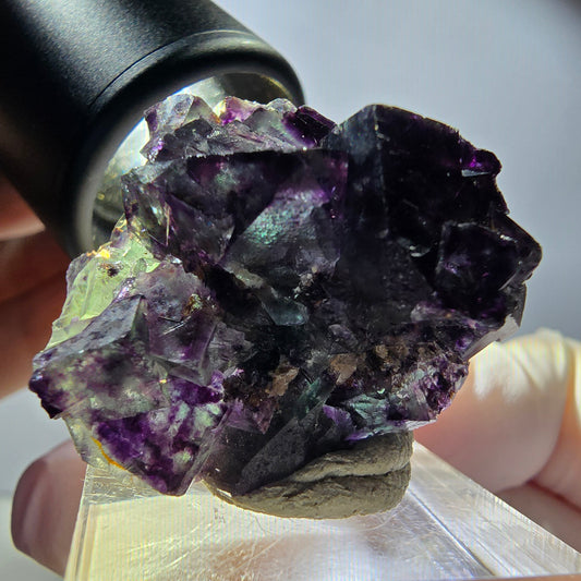 Rare spécimen de cube de fluorite fantôme, vert-violet, Okorusu, Namibie, 33 x 29 x 20 mm 
