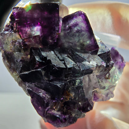 Rare spécimen de cube de fluorite fantôme, vert-violet, Okorusu, Namibie, 33 x 29 x 20 mm 