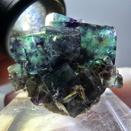 Rare spécimen de cube de fluorite fantôme, vert-violet, Okorusu, Namibie, 28 x 26 x 16 mm 