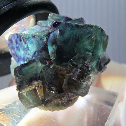 Rare spécimen de cube de fluorite fantôme, vert-violet, Okorusu, Namibie, 28 x 26 x 16 mm 
