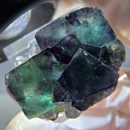 Rare spécimen de cube de fluorite fantôme, vert-violet, Okorusu, Namibie, 28 x 26 x 16 mm 