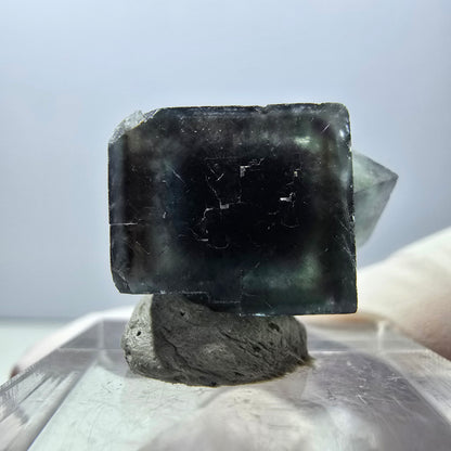 Rare spécimen de cube de fluorite fantôme, vert-violet, Okorusu, Namibie, 22 x 14 x 13 mm 