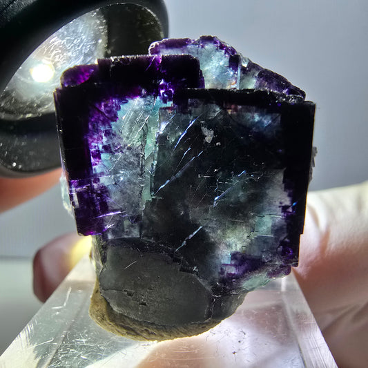Rare spécimen de cube de fluorite fantôme, vert-violet, Okorusu, Namibie, 30 x 27 x 22 mm 