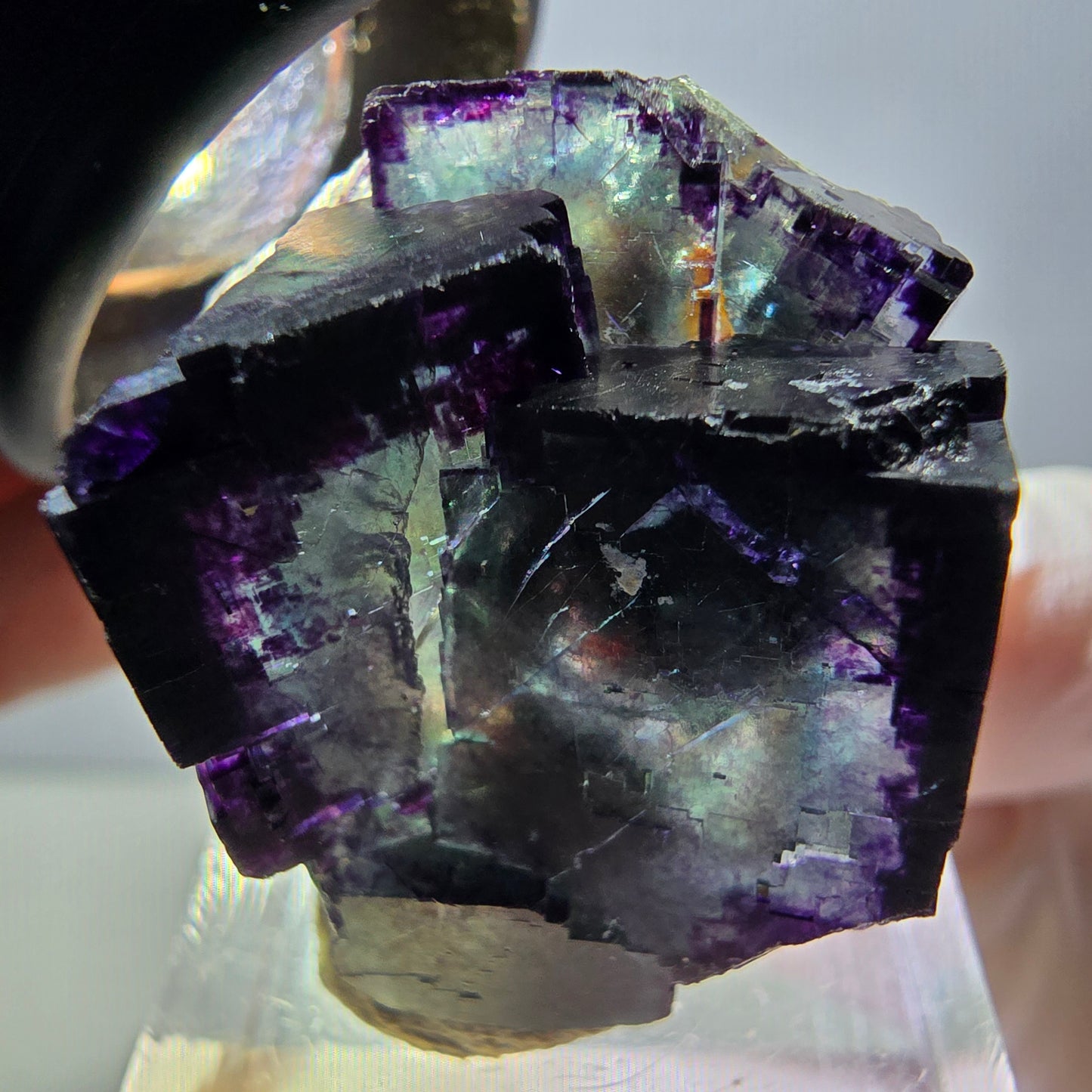 Rare spécimen de cube de fluorite fantôme, vert-violet, Okorusu, Namibie, 30 x 27 x 22 mm 