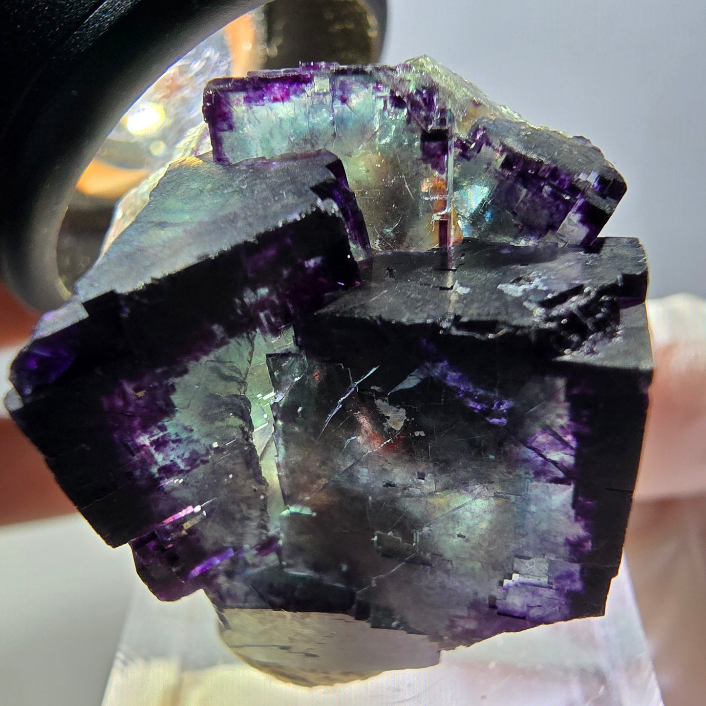 Rare spécimen de cube de fluorite fantôme, vert-violet, Okorusu, Namibie, 30 x 27 x 22 mm 