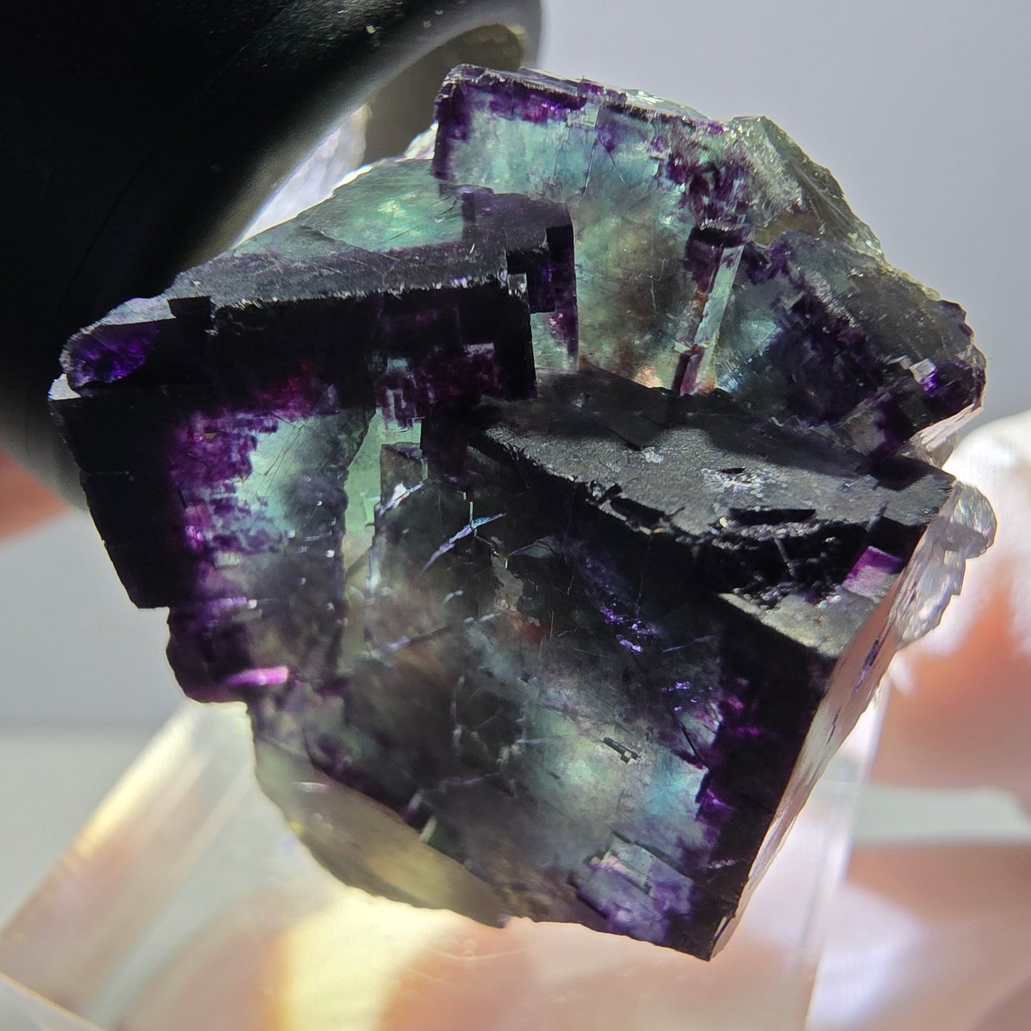 Rare spécimen de cube de fluorite fantôme, vert-violet, Okorusu, Namibie, 30 x 27 x 22 mm 