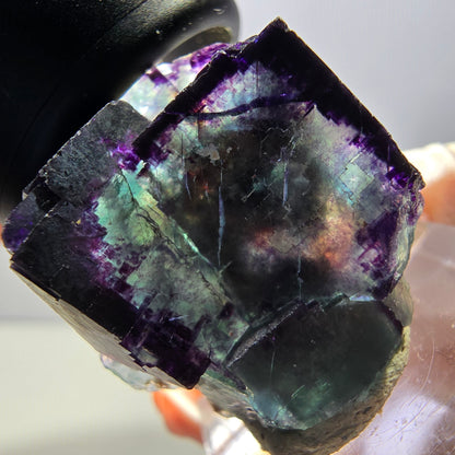 Rare spécimen de cube de fluorite fantôme, vert-violet, Okorusu, Namibie, 30 x 27 x 22 mm 