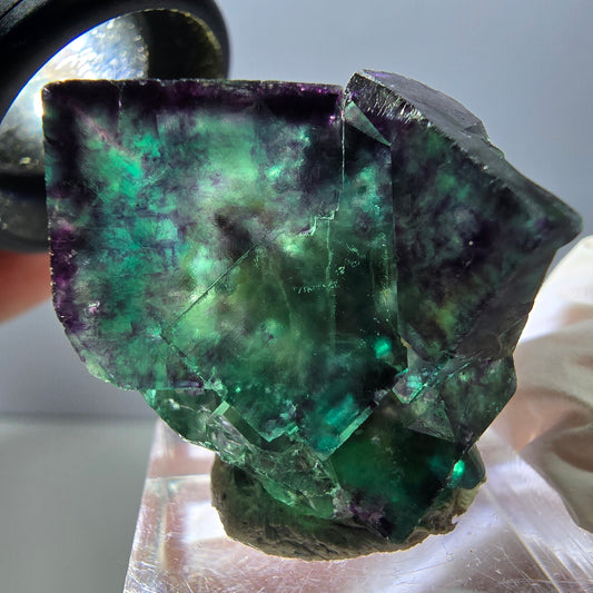 Rare spécimen de cube de fluorite fantôme, vert-violet, Okorusu, Namibie, 30 x 30 x 28 mm 