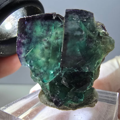Rare spécimen de cube de fluorite fantôme, vert-violet, Okorusu, Namibie, 30 x 30 x 28 mm 