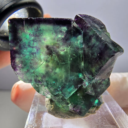 Rare spécimen de cube de fluorite fantôme, vert-violet, Okorusu, Namibie, 30 x 30 x 28 mm 