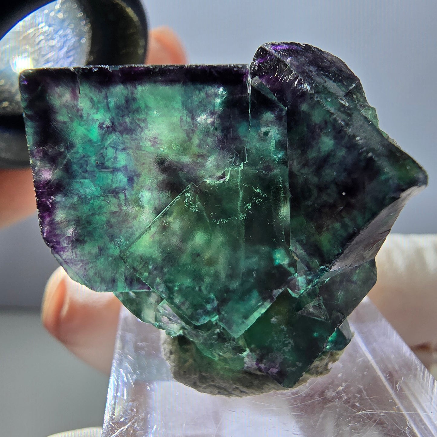 Rare spécimen de cube de fluorite fantôme, vert-violet, Okorusu, Namibie, 30 x 30 x 28 mm 