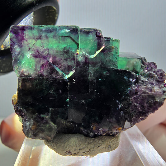 Spécimen rare de cube de fluorite fantôme, vert-violet, Okorusu, Namibie, 37 x 24 x 20 mm 