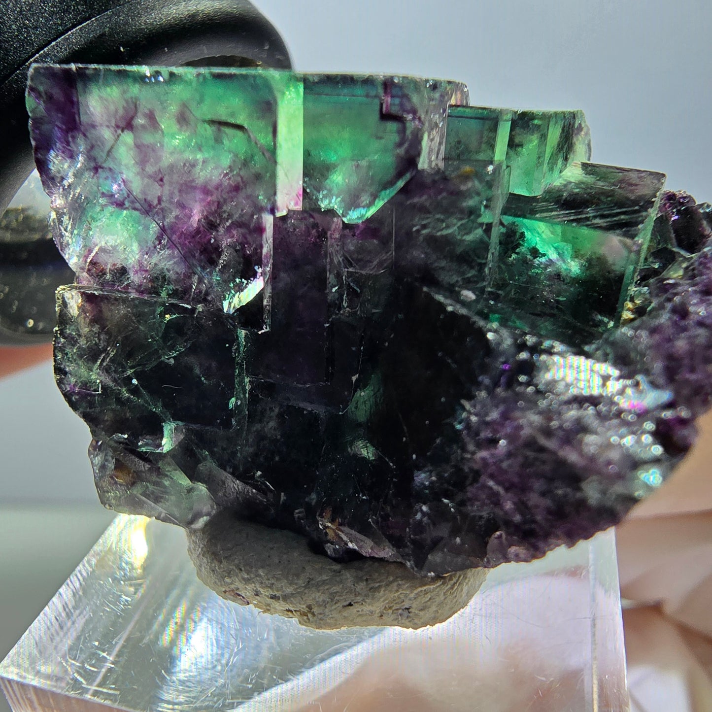 Spécimen rare de cube de fluorite fantôme, vert-violet, Okorusu, Namibie, 37 x 24 x 20 mm 