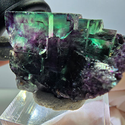 Spécimen rare de cube de fluorite fantôme, vert-violet, Okorusu, Namibie, 37 x 24 x 20 mm 