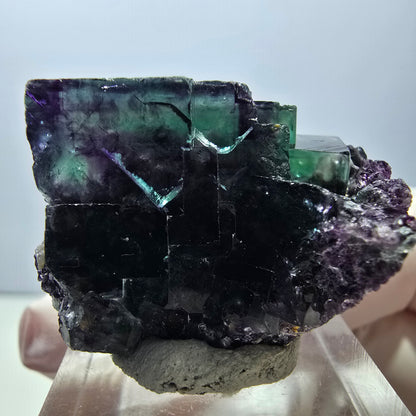 Spécimen rare de cube de fluorite fantôme, vert-violet, Okorusu, Namibie, 37 x 24 x 20 mm 
