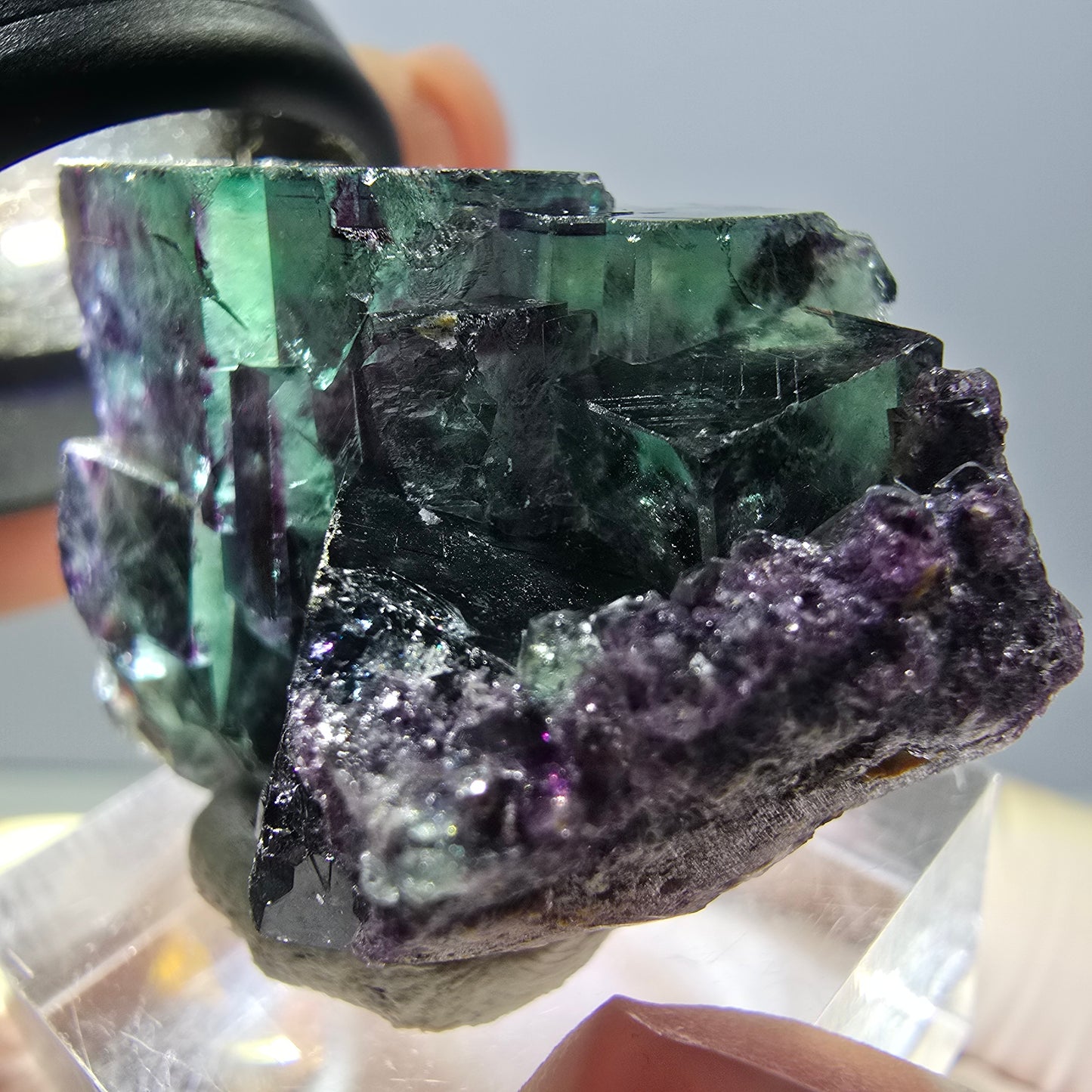 Spécimen rare de cube de fluorite fantôme, vert-violet, Okorusu, Namibie, 37 x 24 x 20 mm 