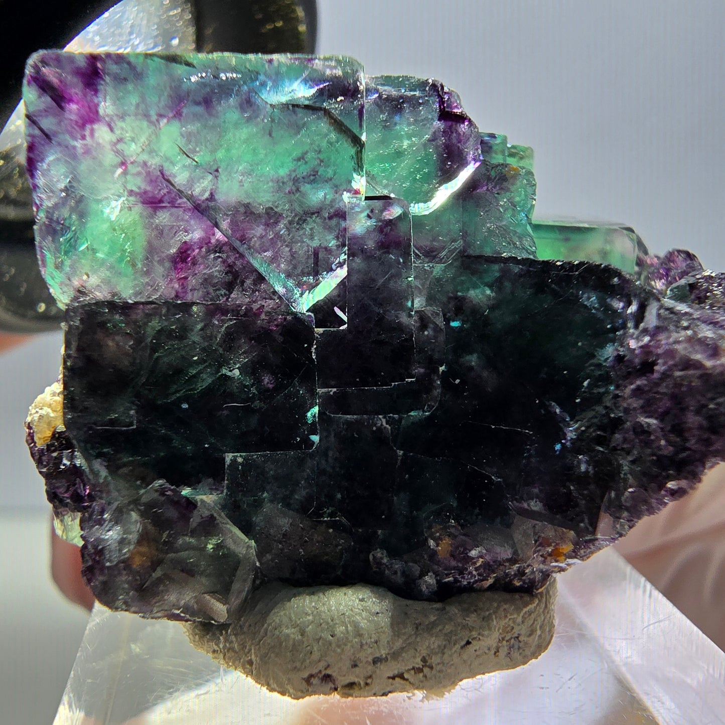 Spécimen rare de cube de fluorite fantôme, vert-violet, Okorusu, Namibie, 37 x 24 x 20 mm 