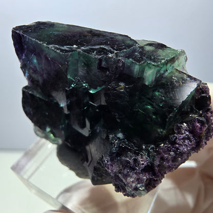 Spécimen rare de cube de fluorite fantôme, vert-violet, Okorusu, Namibie, 37 x 24 x 20 mm 