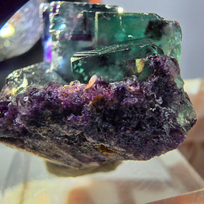 Spécimen rare de cube de fluorite fantôme, vert-violet, Okorusu, Namibie, 37 x 24 x 20 mm 