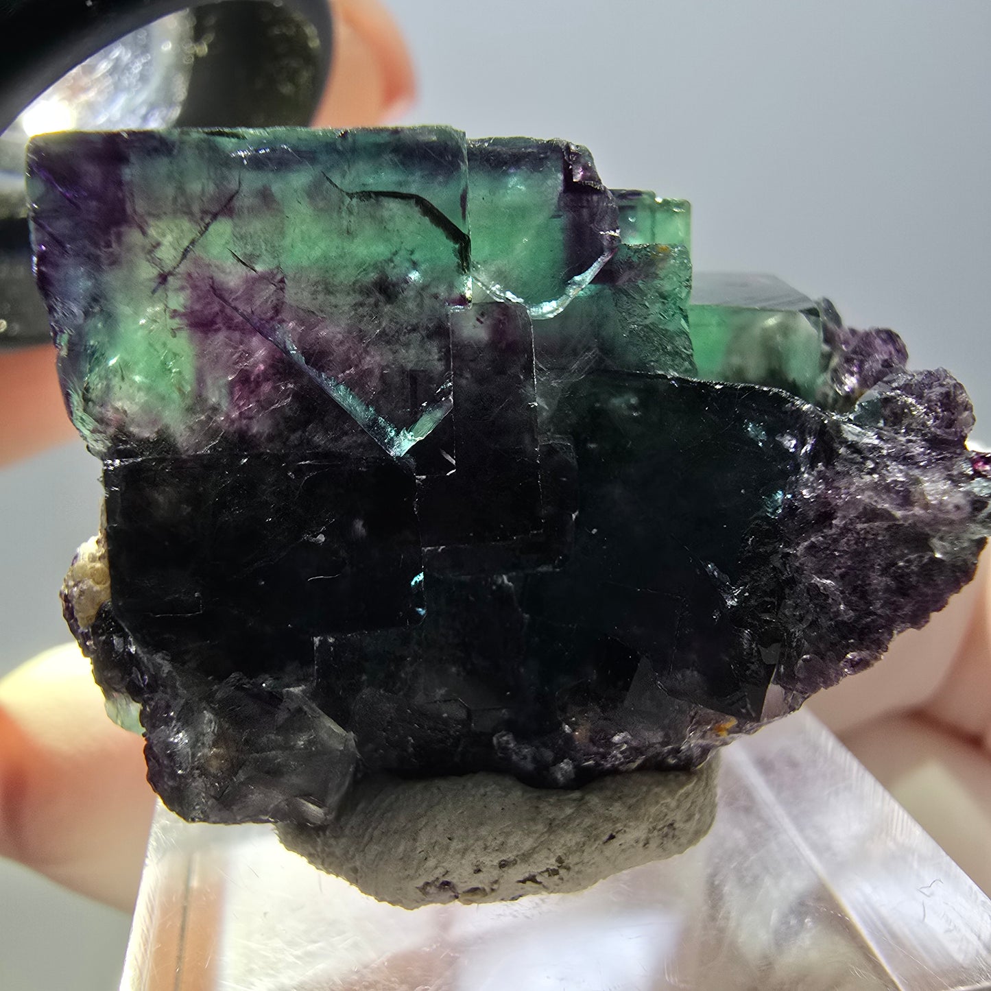 Spécimen rare de cube de fluorite fantôme, vert-violet, Okorusu, Namibie, 37 x 24 x 20 mm 