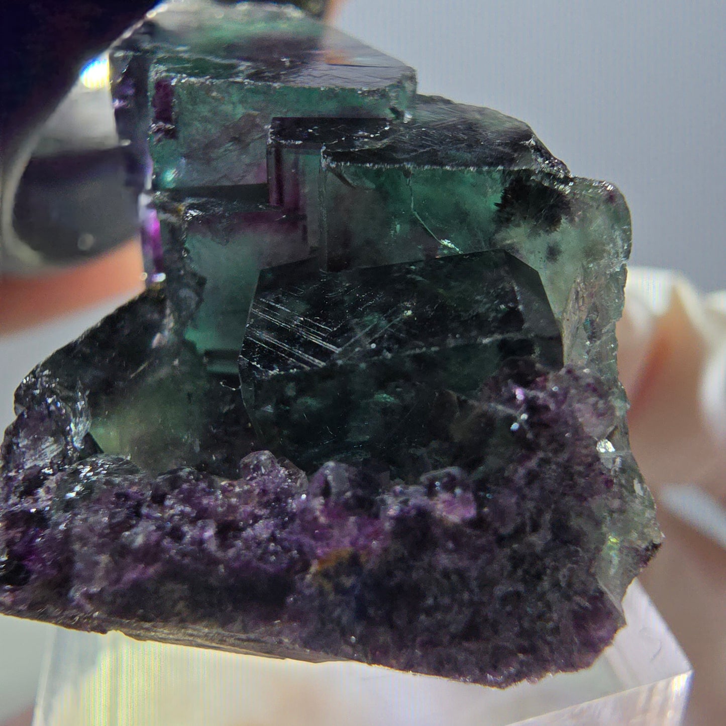 Spécimen rare de cube de fluorite fantôme, vert-violet, Okorusu, Namibie, 37 x 24 x 20 mm 