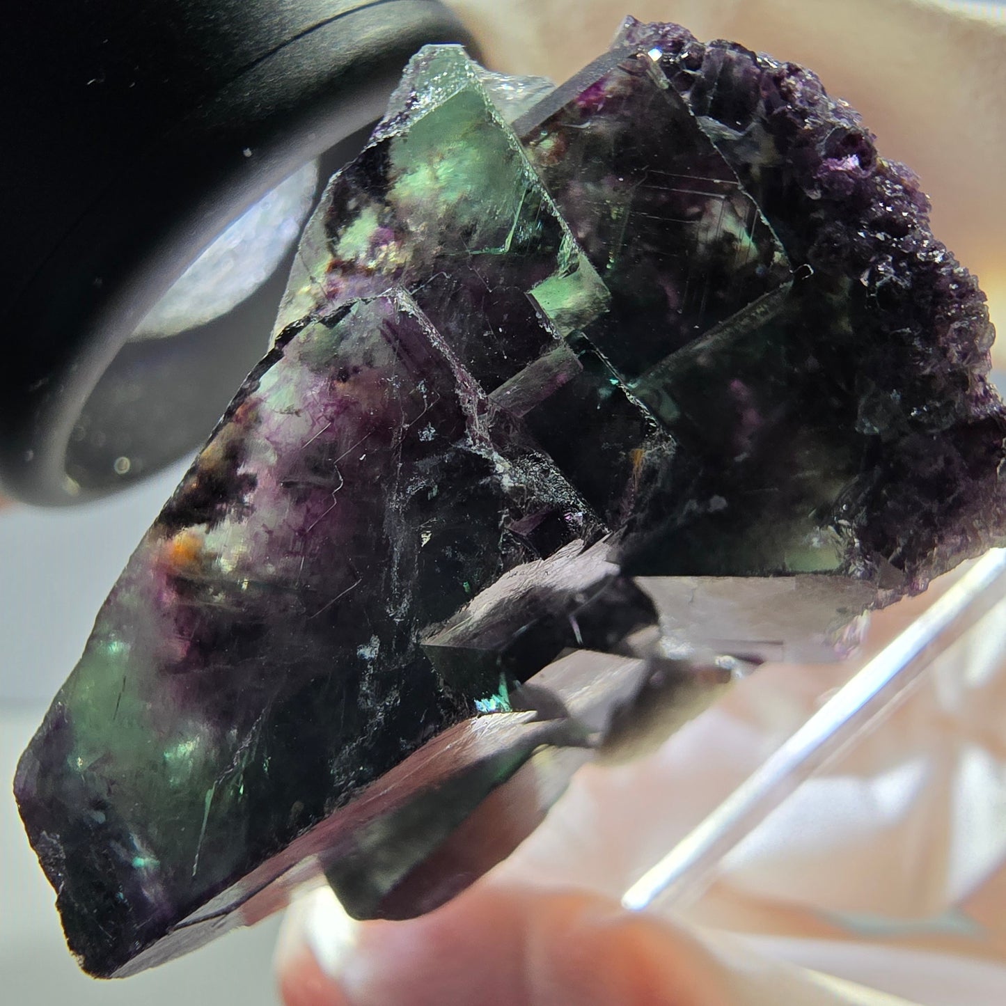 Spécimen rare de cube de fluorite fantôme, vert-violet, Okorusu, Namibie, 37 x 24 x 20 mm 