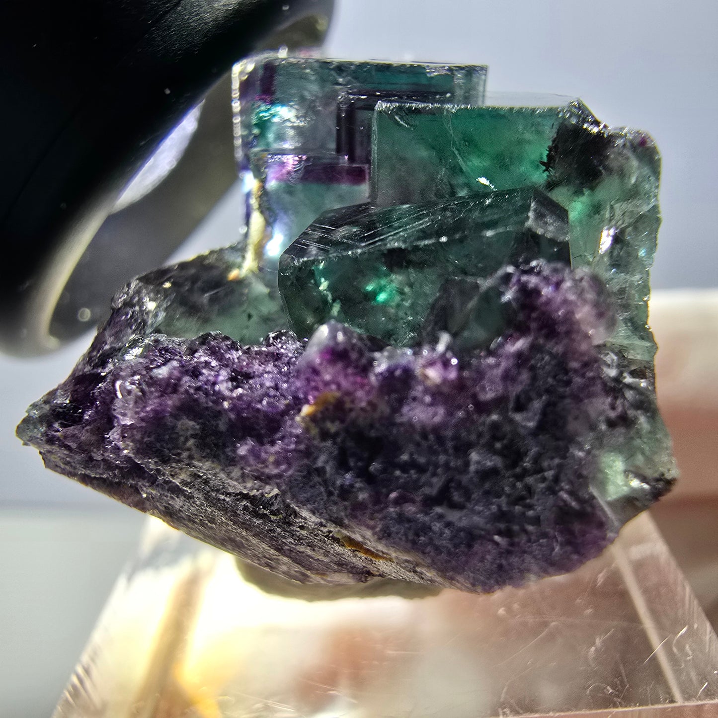 Spécimen rare de cube de fluorite fantôme, vert-violet, Okorusu, Namibie, 37 x 24 x 20 mm 