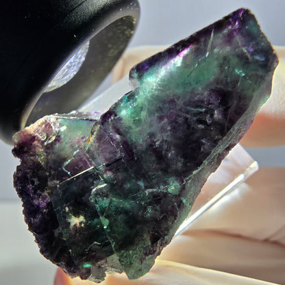Spécimen rare de cube de fluorite fantôme, vert-violet, Okorusu, Namibie, 37 x 24 x 20 mm 