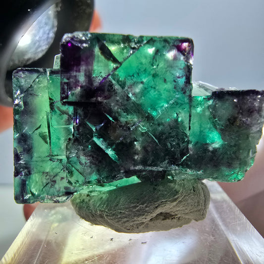 Spécimen rare de cube de fluorite fantôme, vert-violet, Okorusu, Namibie, 30 x 21 x 14 mm 
