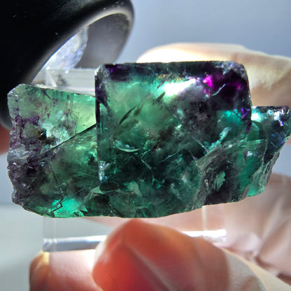 Spécimen rare de cube de fluorite fantôme, vert-violet, Okorusu, Namibie, 30 x 21 x 14 mm 