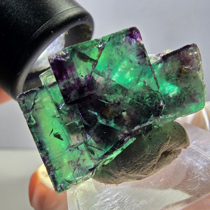 Spécimen rare de cube de fluorite fantôme, vert-violet, Okorusu, Namibie, 30 x 21 x 14 mm 