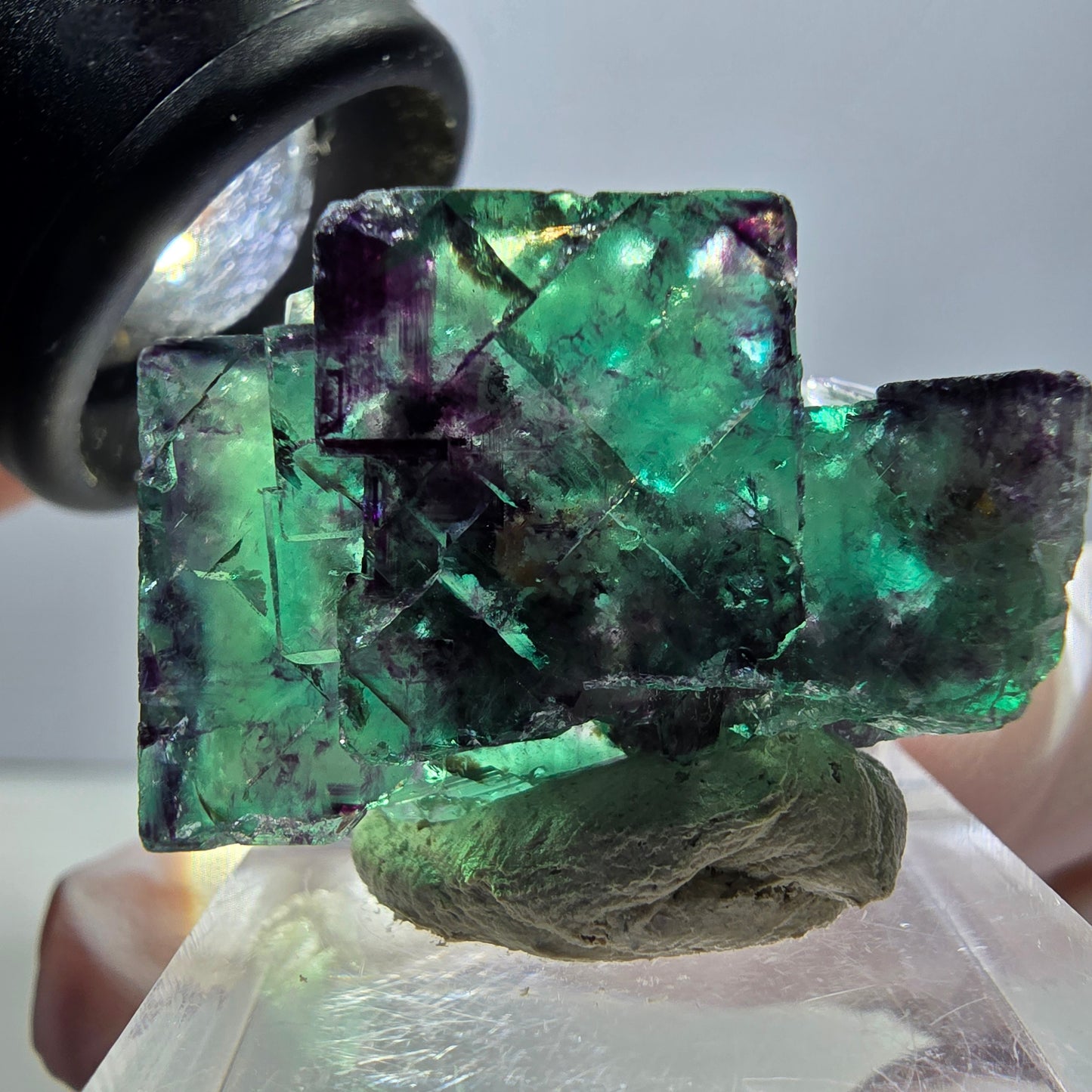 Spécimen rare de cube de fluorite fantôme, vert-violet, Okorusu, Namibie, 30 x 21 x 14 mm 