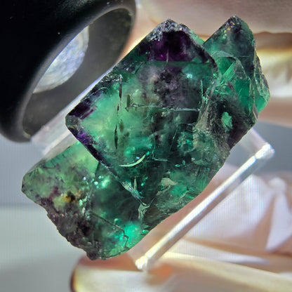 Spécimen rare de cube de fluorite fantôme, vert-violet, Okorusu, Namibie, 30 x 21 x 14 mm 