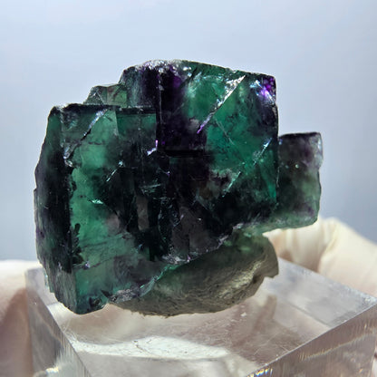 Spécimen rare de cube de fluorite fantôme, vert-violet, Okorusu, Namibie, 30 x 21 x 14 mm 