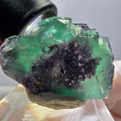 Spécimen rare de cube de fluorite fantôme, vert-violet, Okorusu, Namibie, 30 x 21 x 14 mm 