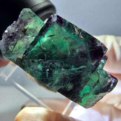Spécimen rare de cube de fluorite fantôme, vert-violet, Okorusu, Namibie, 30 x 21 x 14 mm 
