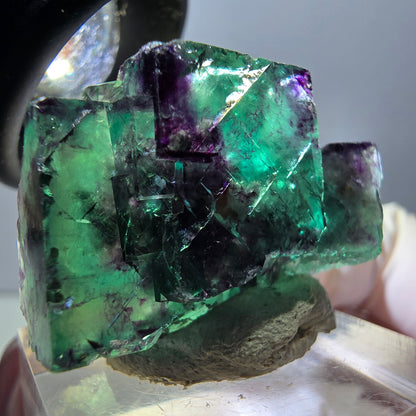 Spécimen rare de cube de fluorite fantôme, vert-violet, Okorusu, Namibie, 30 x 21 x 14 mm 