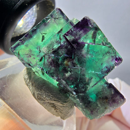 Spécimen rare de cube de fluorite fantôme, vert-violet, Okorusu, Namibie, 30 x 21 x 14 mm 