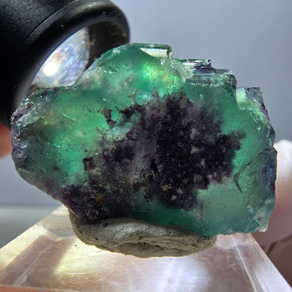 Spécimen rare de cube de fluorite fantôme, vert-violet, Okorusu, Namibie, 30 x 21 x 14 mm 