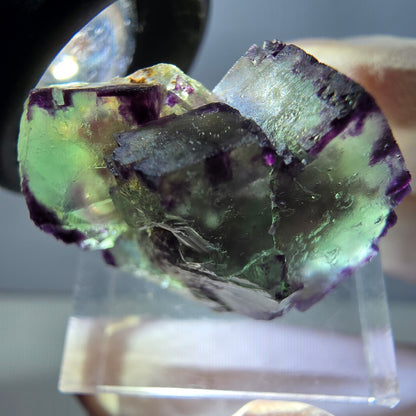 Rare spécimen de cube de fluorite fantôme, vert-violet, Okorusu, Namibie, 28 x 21 x 15 mm 