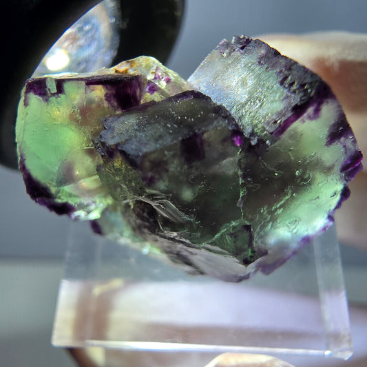 Rare spécimen de cube de fluorite fantôme, vert-violet, Okorusu, Namibie, 28 x 21 x 15 mm 