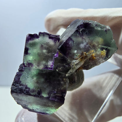 Rare spécimen de cube de fluorite fantôme, vert-violet, Okorusu, Namibie, 28 x 21 x 15 mm 