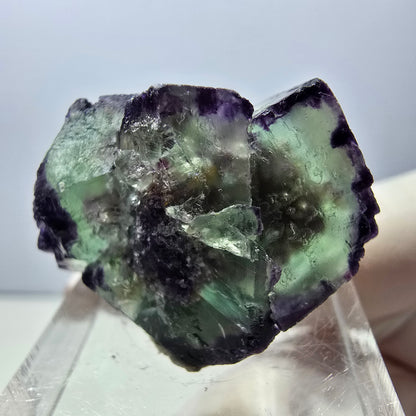Rare spécimen de cube de fluorite fantôme, vert-violet, Okorusu, Namibie, 28 x 21 x 15 mm 