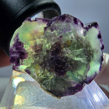 Rare spécimen de cube de fluorite fantôme, vert-violet, Okorusu, Namibie, 28 x 21 x 15 mm 