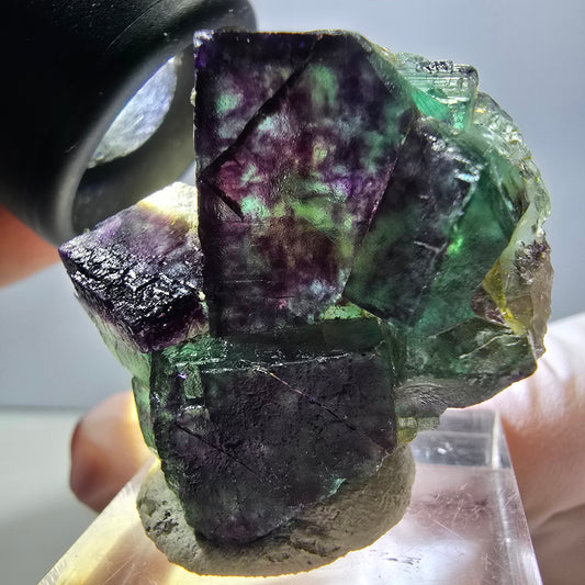 Spécimen rare de cube de fluorite fantôme, vert-violet, Okorusu, Namibie, 36 x 33 x 18 mm 